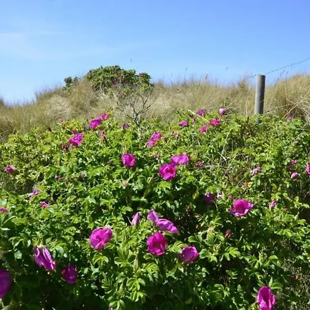 Haus Oose, App 3 Appartement *